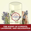 Old Spice Antiperspirant Deodorant For Men Wilderness With Lavender Inspired By Nature Invisible Solid 2.6 Ounce Pack Of 12
