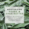 Jason Herbs And Shea Butter Moisturizing Body Wash For A Gentle Feeling Clean 30 Fluid Ounces