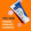 Panoxyl Complete Cleanse Manage And Moisturize Bundle Acne Foaming Wash Benzoyl Peroxide 10% Pm Balancing Repair Moisturizer Am Oil Control Moisturizer And Clarifying Exfoliant With 2% Salicylic Acid