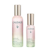 Caudalie Beauty Elixir Face Mist Full Size And Travel 100 Ml 30 Ml