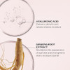Shiseido Essential Energy Hydrating Day Cream Broad Spectrum Spf 20 Visibly Reduces The Look Of Pores And Fine Lines With Hyaluronic Acid 24Hour Hydration All Skin Types 50 Ml
