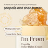 IM From IM From Propolis Butter Balm Cream Deep Moisturizing Barrier Repair Cream With Propolis And Honey Extract Rich Butter Balm Texture For Dry And Sensitive Skin Korean Skincare 1.69 Fl. Oz