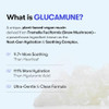 Vt Cosmetics Glucamune Mask Hydrating Vegan Sheet Mask For Face Hypoallergenic Fragrancefree For Dry And Sensitive Skin Betaglucan Glucosamine Skin Glow Korean Skincare 10 Pcs