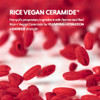 Hanyul Red Rice Serum plus Red Rice Cream