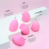 Aoa Studio Collection Mini Makeup Set Blender Latex And Highdefinition Of 6 For Powder Cream Liquid Super Soft Wonder Beauty Cosmetic 3 Tear Drop plus Beveled Shape Pink