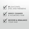 Nexxus Clean and Pure Clarifying Shampoo  Conditioner Set Professional-level detox For hair with buildup For oily hair Optimized PH to promote scalp health