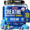 Thinbi Creatine Gummies for Women & Men, Monohydrate, Blueberry, 120 Count | 5-in-1 formula, 5 g creatine per serving, Sugar free, Chewable gummies, Third-party tested