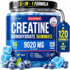 Thinbi Creatine Gummies for Women & Men, Monohydrate, Blueberry, 120 Count | 5-in-1 formula, 5 g creatine per serving, Sugar free, Chewable gummies, Third-party tested
