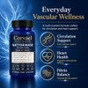 Corvael Nattokinase 20000 Fu, Corvael Nattokinase Fibrinolytic Complex, Gluten Free, Non-GMO, for Daily Wellness Support (3pcs)