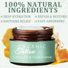 Organic Whipped Tallow Cream Balm with Castor Oil & Frankincense Oil, 2 Pack Grass Fed Whipped Obviously Beef Tallow Cream for Natural Skincare & Moisturizing, Moisturizer for Skin/Face (2)