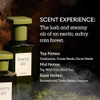 Fine'ry Body Mist Gift Set  Fragrance Spray Trio Floral Scents Hair and Body Perfume Mist  Vegan Cruelty Free | 5 oz x 3