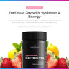 Livingood Daily Electrolytes Powder 30 Servings  Hydration Drink Mix Himalayan Pink Salt Magnesium Potassium Chloride Sodium  No Sugar Electrolyte Supplement