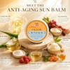 Simple Sophistication  Tinted Mineral Sunscreen SPF 50+ for Face  Zinc Oxide with Grass-Fed Beef Tallow  Reef Safe Daily Facial Sunscreen  Anti-aging with CoQ10+Resverat rol No White Cast  Sensitive Skin