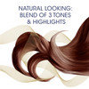 Clairol Nice'n Easy Crème 6R Light Auburn Permanent Hair Dye