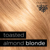 Clairol Colour Gloss Up, Temporary Colour Gloss, Toasted Almond Blonde, 130ml