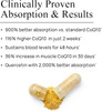 Durable CoQ10 300 mg Ubiqsome, Antioxidant Supplement