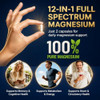 VCCVBB Magnesium Glycinate 500mg, 12-in-1 Magnesium Complex, 120 Capsules | Includes Magnesium Glycinate, Citrate, Taurate, Orotate and other complementary magnesium forms for daily nutrition