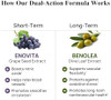 Durable Blood Pressure Benolea Olive Leaf & Enovita Grape Seed