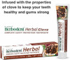 Herbodent Herbal Clove Toothpaste Natural Herbs