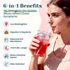 Venture Pal 6-in-1 Advanced Daily Prebiotic Fiber Supplement Powder