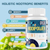 Sapotax 17-in-1 Brain Supplement for Memory and Focus  Nootropic Brain Supplement for Mental Clarity Concentration Alertness  Natural Nootropics with Herbal Extracts Vitamins and Amino Acids
