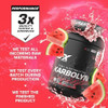 EFX Sports Karbolyn Hydrate | Carbohydrate Powder + Electrolytes | Sugar Free Sports Drink Mix | Fuel & Hydration | Stimulant Free | 66 Servings