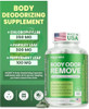 MEGNETA Chlorophyll Capsules Body Odor Supplement for Women and Men 60 Count