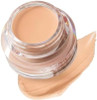 SKINFOOD Salmon PDRN Dark Circle Concealer Cream - 2 Beige, Under Eye Concealer for Dark Spots and Wrinkles, Full Coverage, Stocking Stuffer