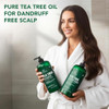 Botanic Hearth Tea Tree Shampoo And Conditioner Set - 16 Fl oz Each