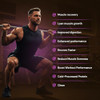 GLO Cold-Processed Whey Protein - Muscle Support 28 Servings