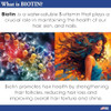 Difeel Biotin Hair Oil Blend Large 12 oz.