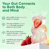 Venture Pal Sugar Free Hydration Packets + Gut Health Electrolytes Powder