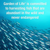 Garden of Life Oceans 3 Beyond Omega-3 with OmegaXanthin