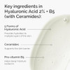 The Ordinary Hyaluronic Acid 2% + B5 (with Ceramides Multi-Depth Hydration Serum for Plumper Smoother Skin