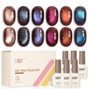 GAOY Brown Chameleon Cat Eye Gel Nail Polish Kit with Magnet, 6 Colors