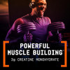 BEYOND RAW GNC LIT V2 Pre Workout Powder 30 Servings