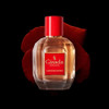 Gisada Ambassadora Womens Perfume Perfumes for Women with Oriental Warm Fragrance  Daily Wear Women's Cologne with  Scent Made in Switzerland