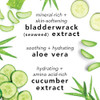 Mario Badescu Facial Spray Duo  Includes Aloe Chamomile & Lavender PLUS Aloe Cucumber & Green Tea Toner for Face Neck or Hair  Cooling and Hydrating Face Mist for All Skin Types Dewy Finish