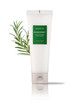 AROMATICA Rosemary Scalp Scaling Shampoo and Conditioner Set