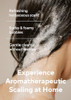 AROMATICA Rosemary Scalp Scaling Shampoo and Conditioner Set