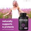 NutraChamps Echinacea Capsules 1000mg 8 in 1 Immune Support Supplement Echinacea Goldenseal Vitamin C Zinc Ginger Elderberry