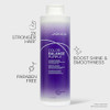 Joico Color Balance Purple Conditioner For Cool Blonde or Gray Hair  Eliminate Brassy Yellow Tones  Boost Color Vibrancy and Shine  UV Protection  With Rosehip Oil and Green Tea Extract