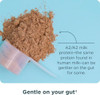 Ancient Nutrition Grass Fed Whey Protein, Collagen - Chocolate Peanut Butter - 18 Servings