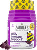 Zarbee's Kids Elderberry Immune Support Gummies
