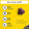 Zarbee's Kids Elderberry Immune Support Gummies