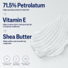 Cetaphil Healing Ointment Soothes & Protects Dry Chapped Skin