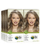 Naturtint  Permanent Hair Color (Pack of 1) Ammonia Free Vegan Cruelty Free up to 100% Gray Coverage Long Lasting Results