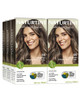 Naturtint  Permanent Hair Color (Pack of 1) Ammonia Free Vegan Cruelty Free up to 100% Gray Coverage Long Lasting Results