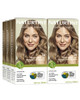 Naturtint  Permanent Hair Color (Pack of 1) Ammonia Free Vegan Cruelty Free up to 100% Gray Coverage Long Lasting Results