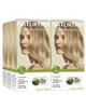 Naturtint  Permanent Hair Color (Pack of 1) Ammonia Free Vegan Cruelty Free up to 100% Gray Coverage Long Lasting Results